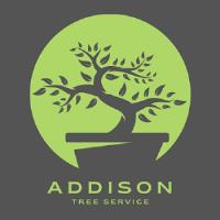 Addison Tree Service image 1